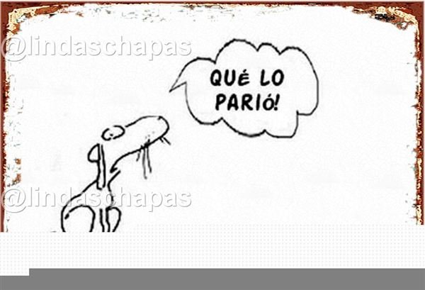 Frases / Carteles